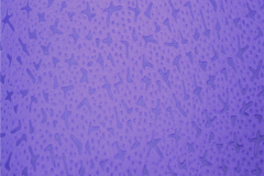 chicken-claw-pattern-non-woven-fabric-5